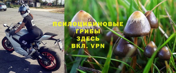 стафф Вязники
