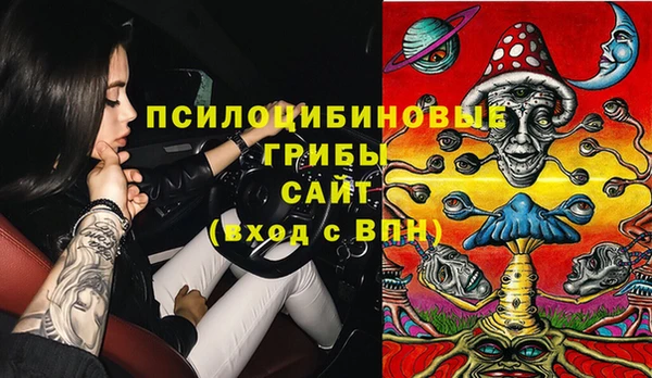 МДПВ Волоколамск