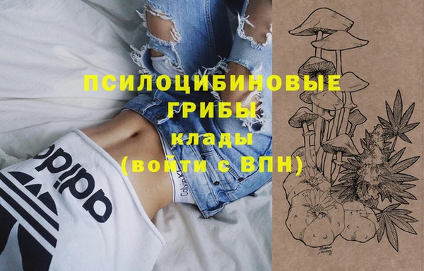 меф Вяземский