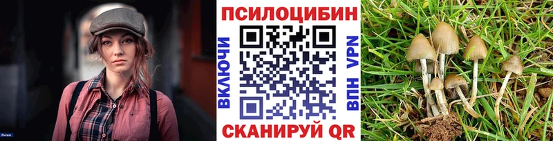 даркнет сайт  Хасавюрт  Галлюциногенные грибы GOLDEN TEACHER 